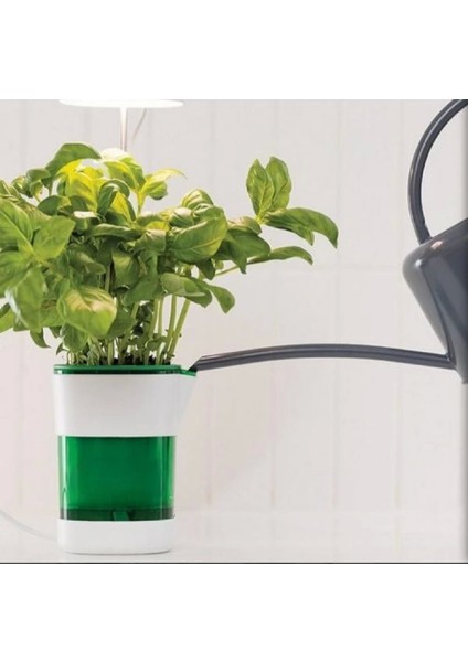 Hızlı Bitki Yetiştirme Saksısı indirimleri