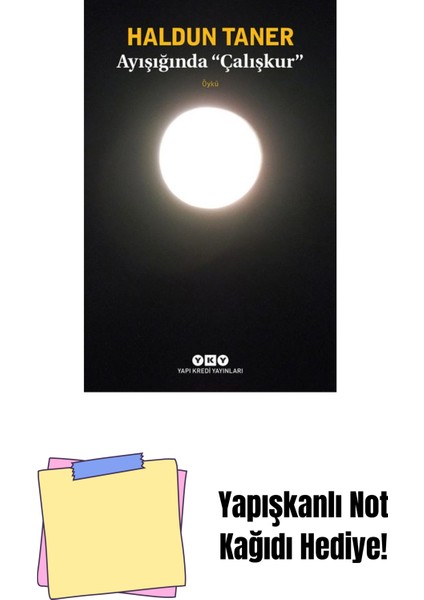Ayışığında “çalışkur” + Yapışkanlı Not Kağıdı
