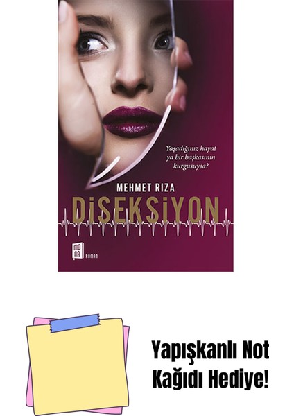 Diseksiyon + Yapışkanlı Not Kağıdı