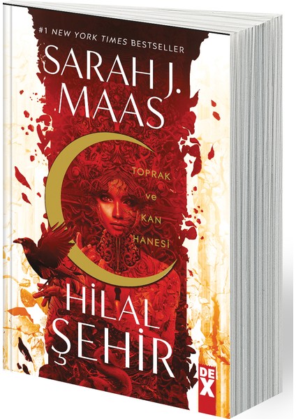 Hilal Şehir - Sc + Yapışkanlı Not Kağıdı fiyatları