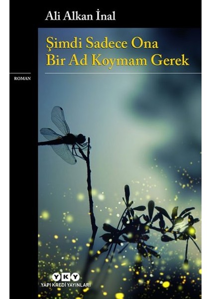 Şimdi Sadece Ona Bir Ad Koymam Gerek + Yapışkanlı Not Kağıdı fiyatları