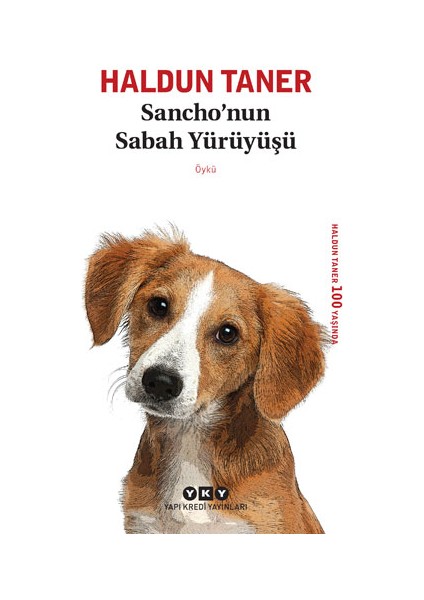 Sancho’nun Sabah Yürüyüşü + Yapışkanlı Not Kağıdı fiyatları