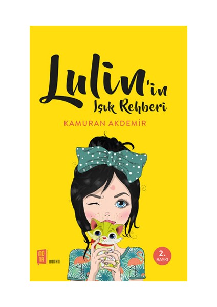 Lulin’in Işık Rehberi + Yapışkanlı Not Kağıdı fiyatları