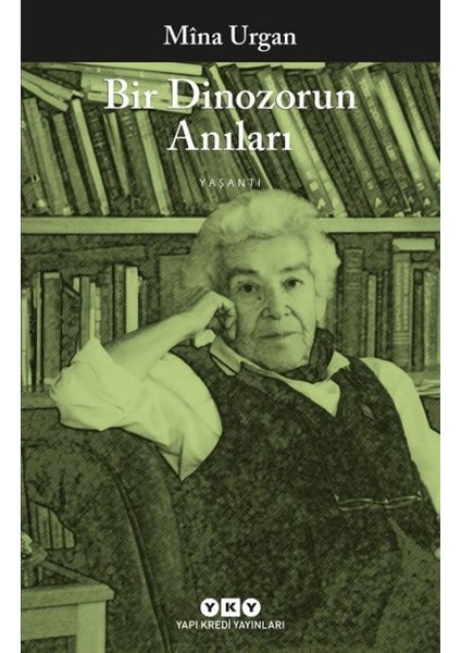 Bir Dinozorun Anıları + Yapışkanlı Not Kağıdı fiyatları