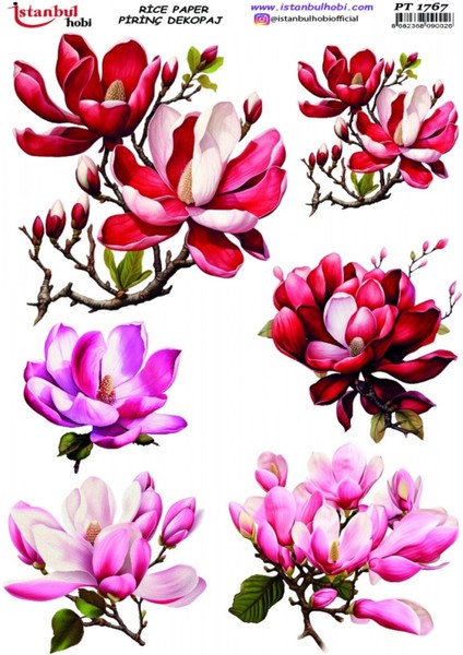 Pirinç Dekopaj PT1767