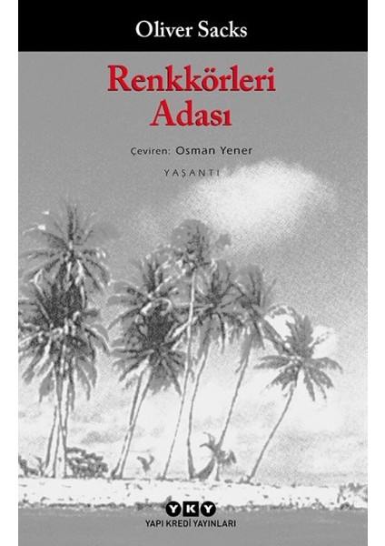 Renkkörleri Adası + Yapışkanlı Not Kağıdı fiyatları
