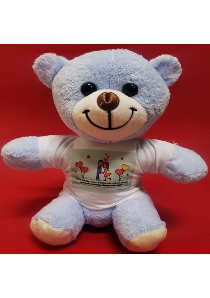 Tişörtlü Mavi Ayı fiyatları