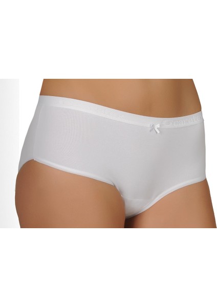 Rose Hafif Emici,antialerjik,yıkanabilir Kadın Emici Külot modelleri