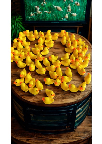 12'li Mini Ördek Set