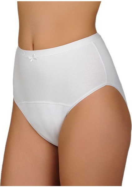 Camelia Orta Emici,antialerjik,yıkanabilir Kadın Emici Külot