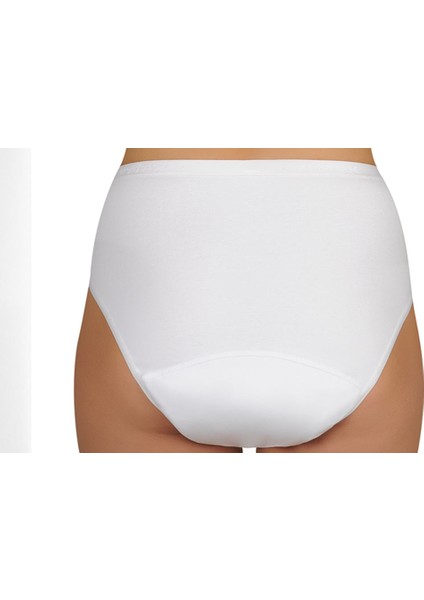 Camelia Orta Emici,antialerjik,yıkanabilir Kadın Emici Külot modelleri