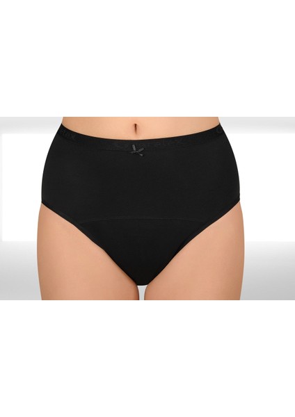 Camelia Orta Emici,antialerjik,yıkanabilir Kadın Emici Külot fırsatları