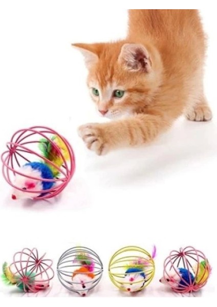 Kafeslı Farelı Kedı Köpek Oyun Topu