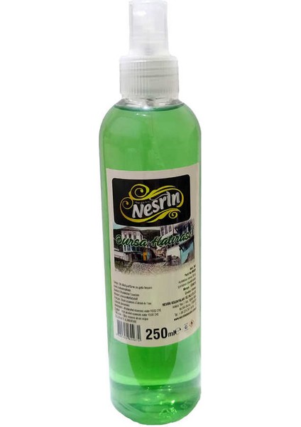 Bursa Hatırası Kolonyası 60 Derece Pet Şişe Sprey 250 ml