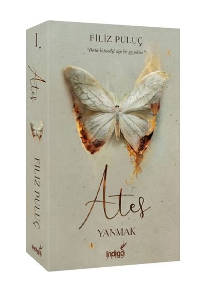 Ateş - Yanmak