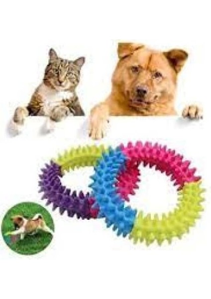 Köpek Isırma Kaşıma Çemberi 9,5 cm