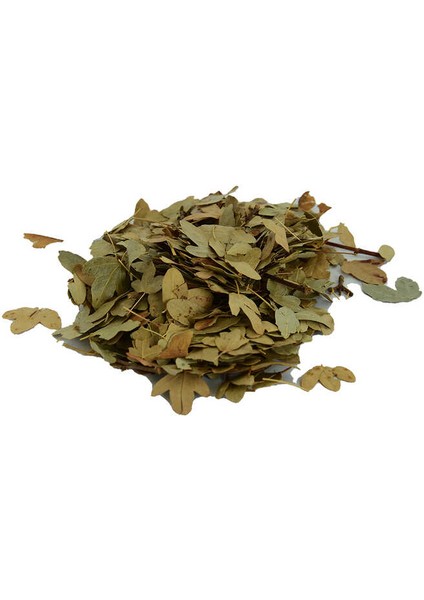 Şimşir Yaprağı Doğal 100 gr Paket