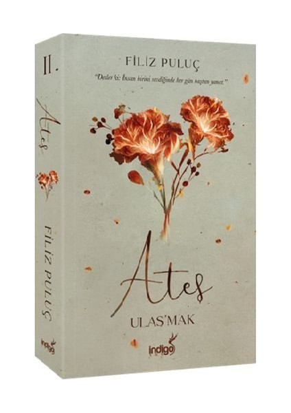 Ateş - Ulaş'mak