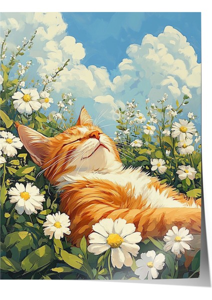 Çerçevesiz Poster, Papatyalar Arasında Yatan Kedi, Bahar Havası Poster No: 107346
