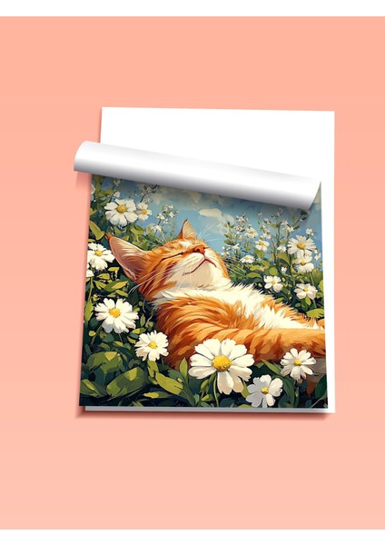 Çerçevesiz Poster, Papatyalar Arasında Yatan Kedi, Bahar Havası Poster No: 107346 fiyatları