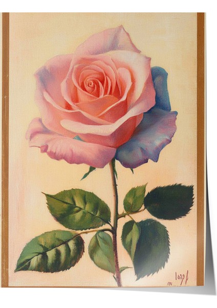 Çerçevesiz Poster, Pembe Gül, Realistik Çiçek Illüstrasyonu Poster No: 107432