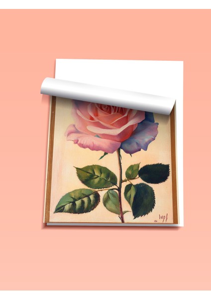 Çerçevesiz Poster, Pembe Gül, Realistik Çiçek Illüstrasyonu Poster No: 107432 fiyatları
