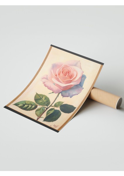 Çerçevesiz Poster, Pembe Gül, Realistik Çiçek Illüstrasyonu Poster No: 107432 modelleri