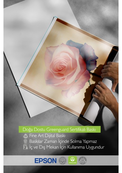 Çerçevesiz Poster, Pembe Gül, Realistik Çiçek Illüstrasyonu Poster No: 107432 indirimleri