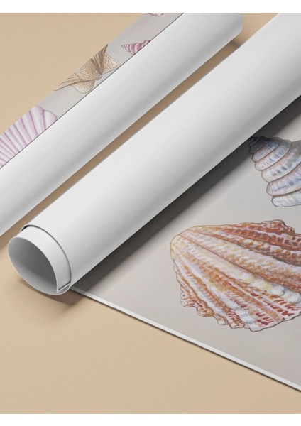 Çerçevesiz Poster, Deniz Kabukları, Pembe Arka Planlı, Koleksiyon Çizimi 1 Poster No: 107442 fırsatları