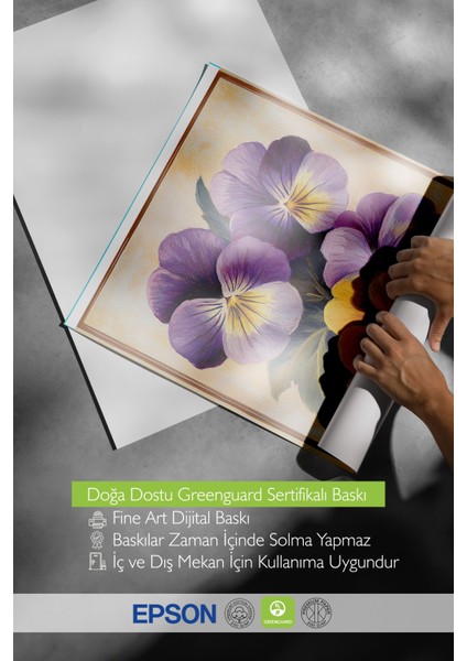 Çerçevesiz Poster, Sarı Mor Menekşe, Botanik Çizim Poster No: 107422 indirimleri