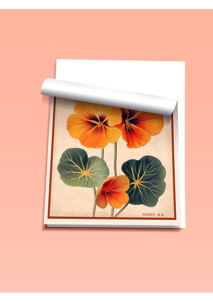 Çerçevesiz Poster, Turuncu Menekşe, Vintage Çiçek Illüstrasyonu Poster No: 107419 fiyatları