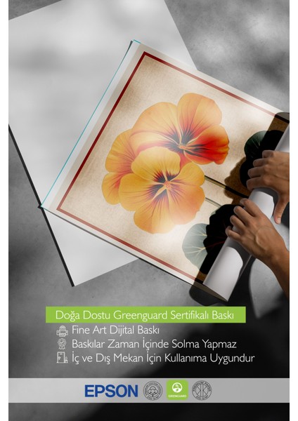 Çerçevesiz Poster, Turuncu Menekşe, Vintage Çiçek Illüstrasyonu Poster No: 107419 indirimleri