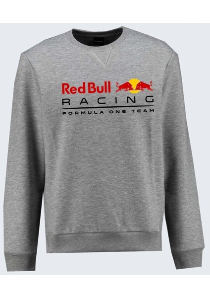Formula 1 Red Bull One Team Baskılı F1 Bisiklet Yaka Ilkbaharlık Ince Sweatshirt