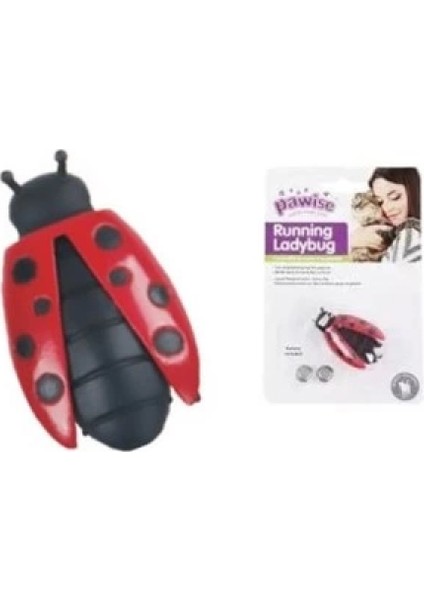 Uğur Böceği Hareketli Kedi Oyuncağı