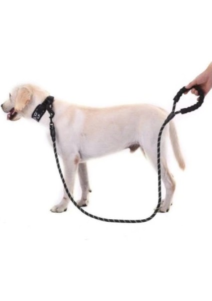 Reflektörlü Köpek Tasması 130 Cm. fiyatları
