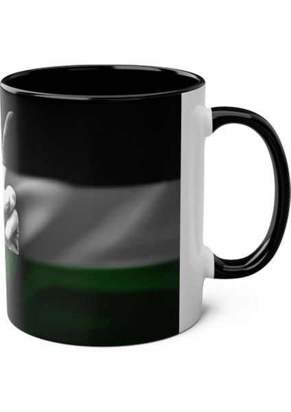 Filistin Bayrağı Baskılı Kupa fırsatları