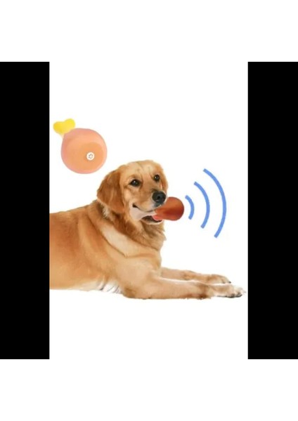 Köpekler Için Sesli Oyuncak Tavuk Butu
