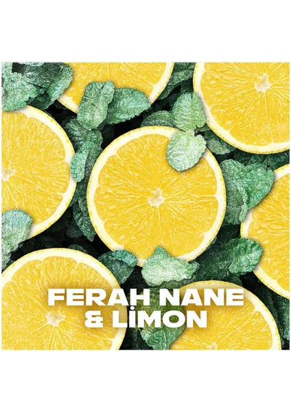 2 Adet Axe Ice Chill Erkek Deodorant Sprey 150 ml modelleri