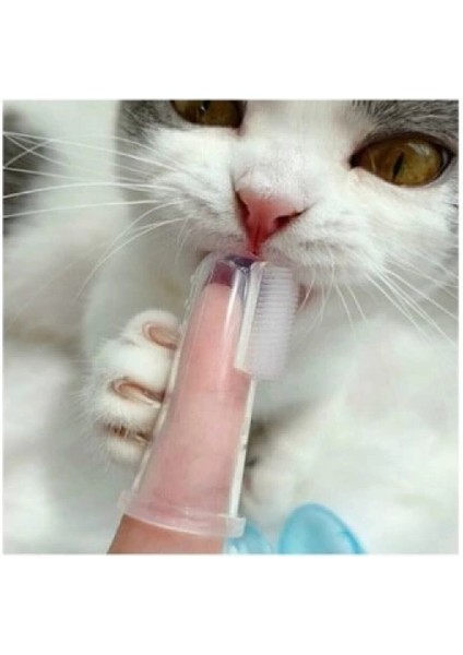 Kedi Köpek Diş Temizleme Fırçası fırsatları