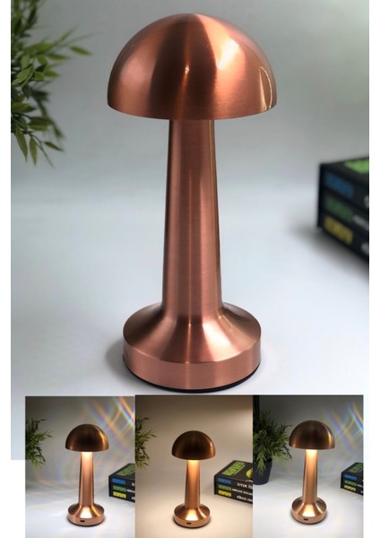HL-009B Dekoratif Metal Bakır Mantar Kablosuz Masa Lambası Ledli 5V 3 Renk fiyatları