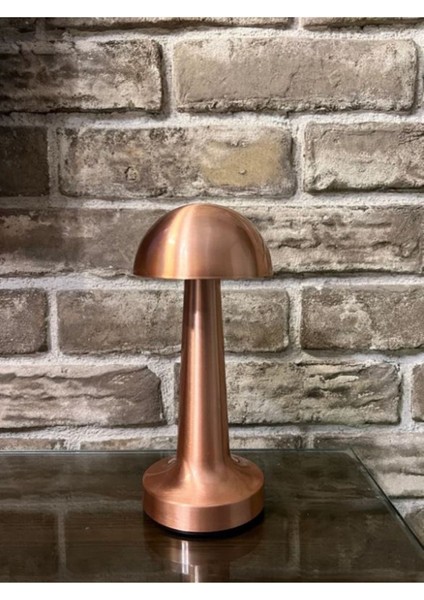 HL-009B Dekoratif Metal Bakır Mantar Kablosuz Masa Lambası Ledli 5V 3 Renk