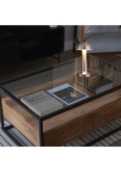 Şarjlı Dokunmatik LED Dimerlenebilir Gümüş Mantar Masa Lambası AF11-00293 fırsatları