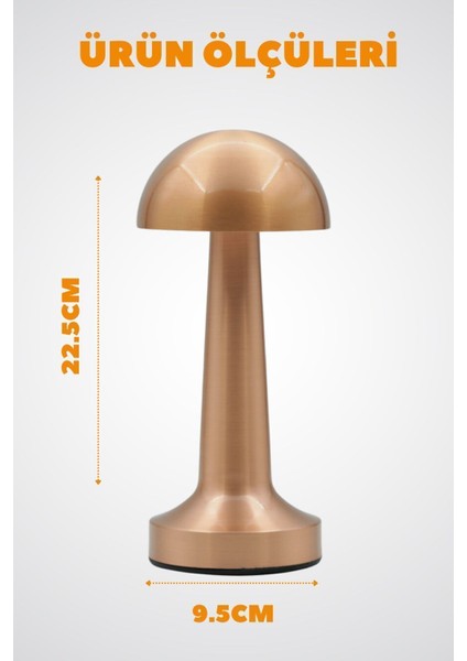 AGLL-009B Dekoratif Metal Bakır Mantar Kablosuz Masa Lambası Ledli 5V 3 Renk modelleri