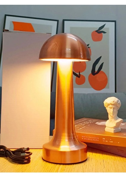 AGLL-009B Dekoratif Metal Bakır Mantar Kablosuz Masa Lambası Ledli 5V 3 Renk