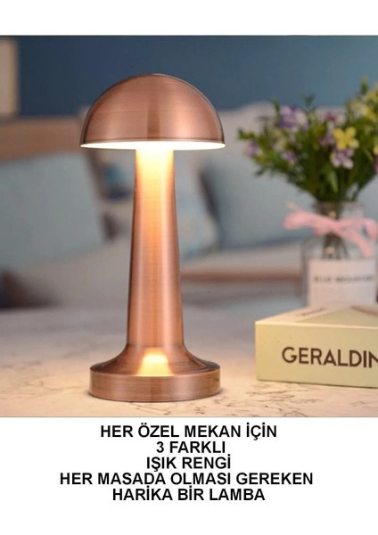 Şarjlı Dokunmatik LED Masa Lambası, Ayarlanabilir Renk Tonu, Çalışma Okuma Işığı Mantar Gece Lambası fırsatları