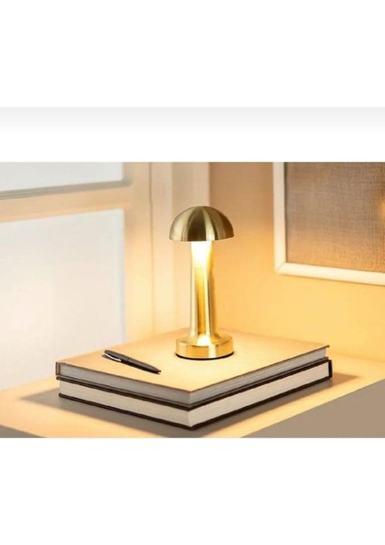 Şarjlı Dokunmatik LED Masa Lambası, Ayarlanabilir Renk Tonu, Çalışma Okuma Işığı Mantar Gece Lambası fırsatları