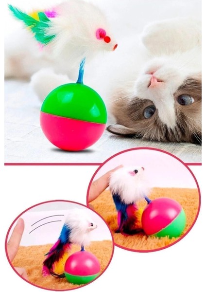2 Adet Hareketli Kedi Topu Fareli Hacı Yatmaz Yavru Kedi Oyuncakları Fare Kovalama Oyunu 11 cm fiyatları
