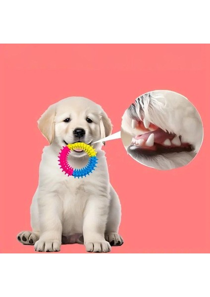 12 cm Köpek Isırma Çember Diş Kaşıma Oyuncak Temizleme Fırça Silikon Dayanıklı Köpek Oyuncağı fiyatları
