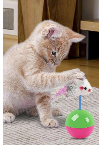 Hareketli Kedi Topu Fareli Hacı Yatmaz Yavru Kedi Oyuncakları Fare Kovalama Oyunu 11 Cm