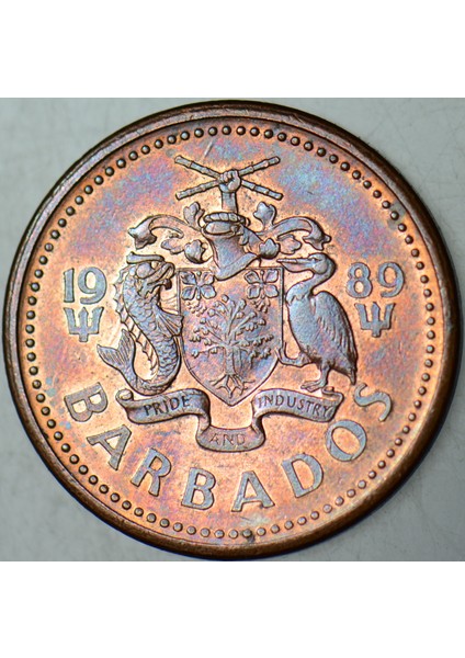 Barbados 1 Cent 1989 Çilaltı Kondisyon. modelleri